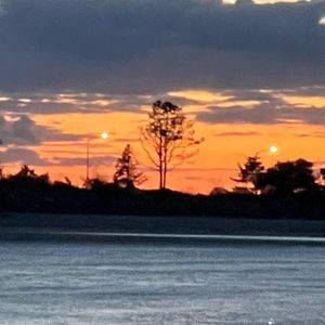 Meet your Posher, Ashleigh